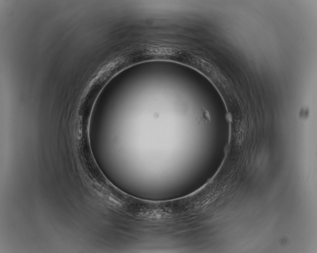 X0000096160731200801181224