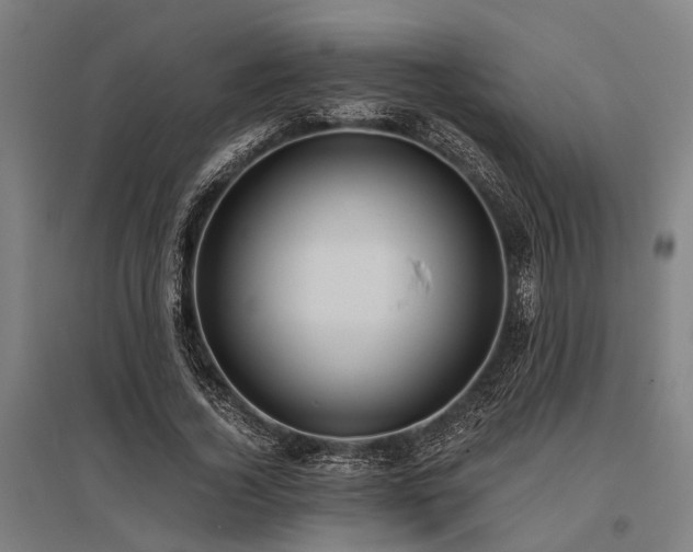 X0000096160732200801181224