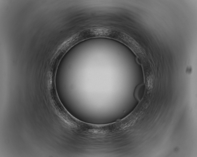 X0000096160733200801181224