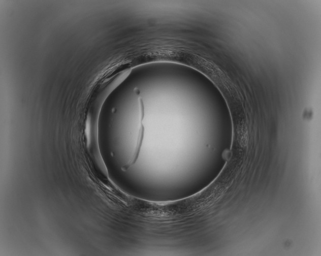 X0000096160735200801181224
