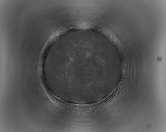 X0000096160736200801181224