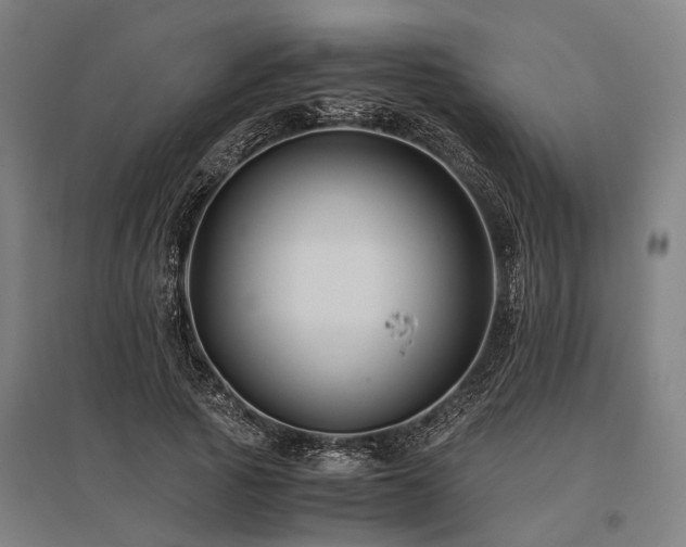 X0000096160737200801181224