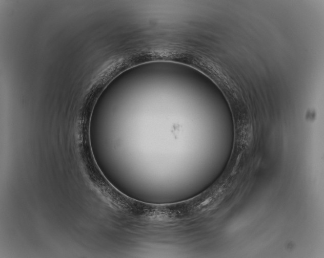 X0000096160738200801181224