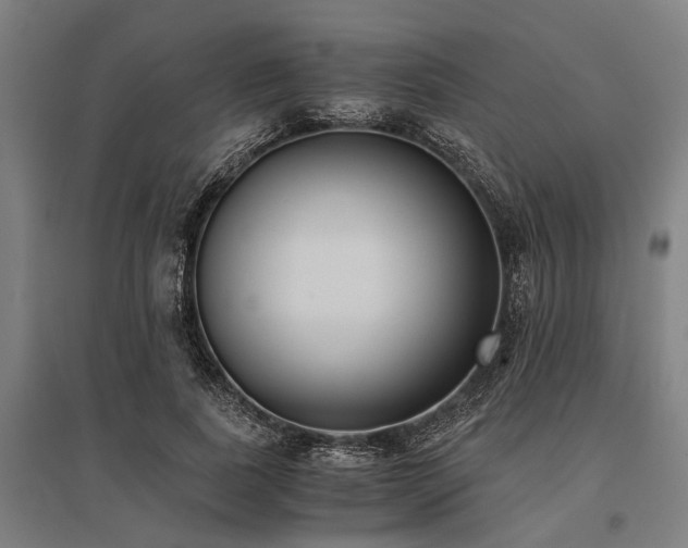 X0000096160739200801181224