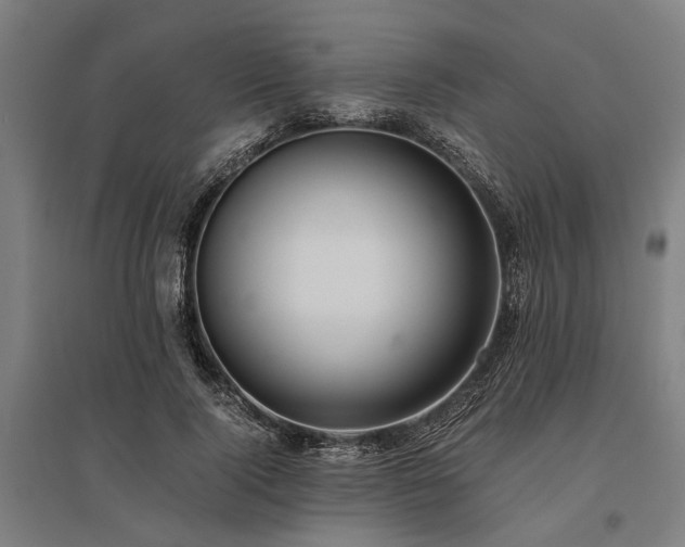 X0000096160740200801181224