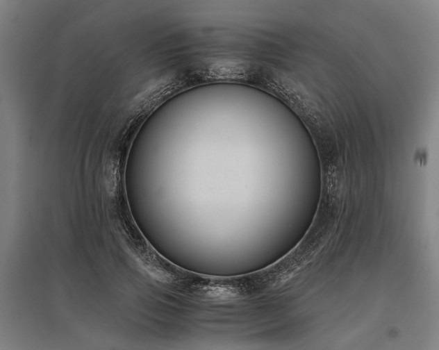 X0000096160741200801181224