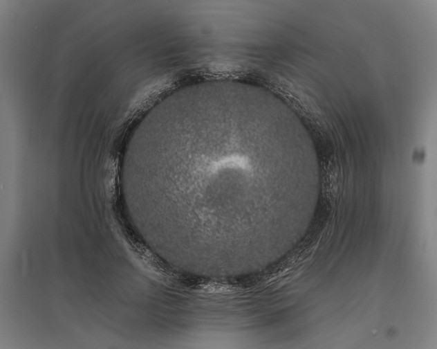X0000096160742200801181224