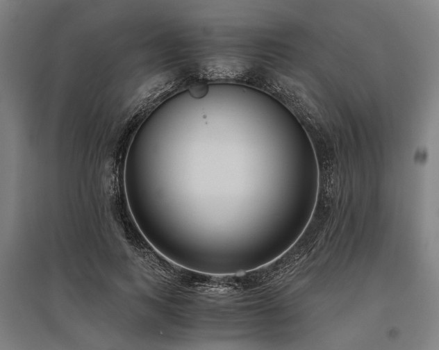 X0000096160743200801181224