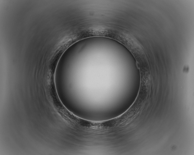 X0000096160744200801181224