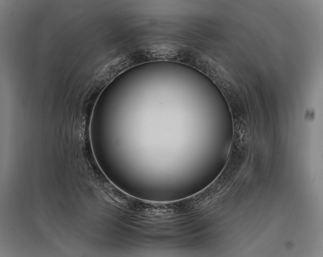 X0000096160745200801181224