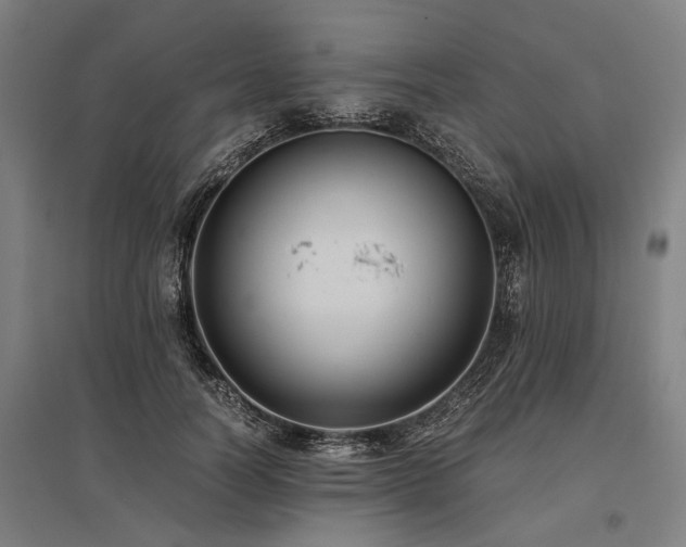 X0000096160746200801181224
