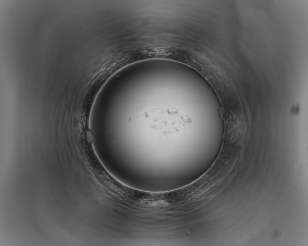 X0000096160747200801181224