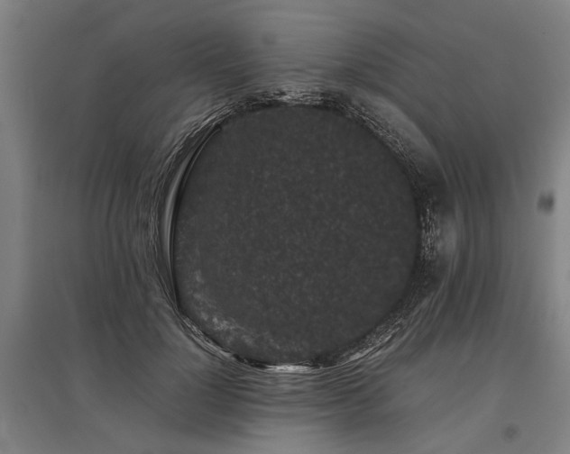 X0000096160748200801181224