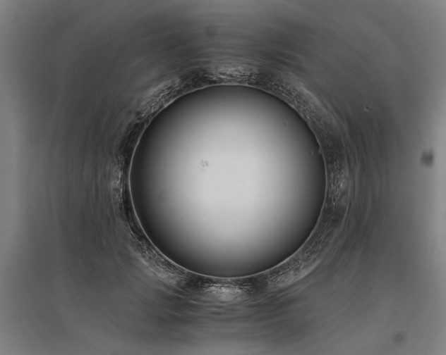 X0000096160749200801181224