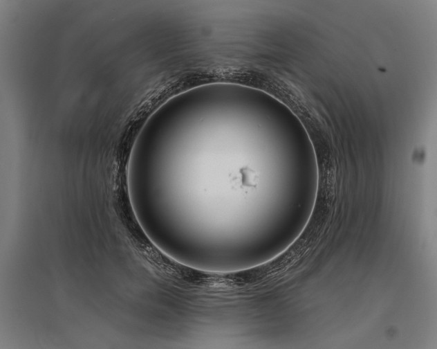 X0000096160750200801181224