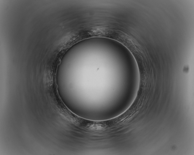 X0000096160751200801181224