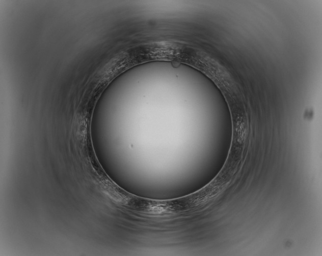 X0000096160753200801181224