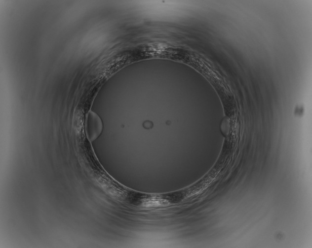 X0000096160754200801181224