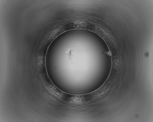 X0000096160756200801181224