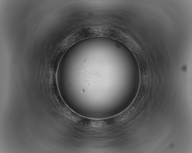X0000096160757200801181224