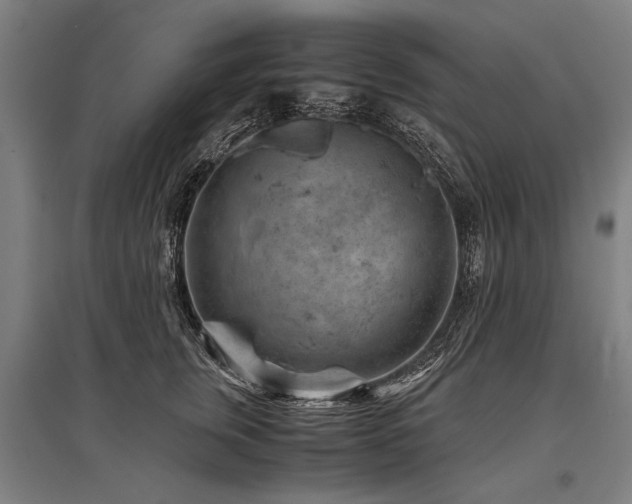 X0000096160759200801181224