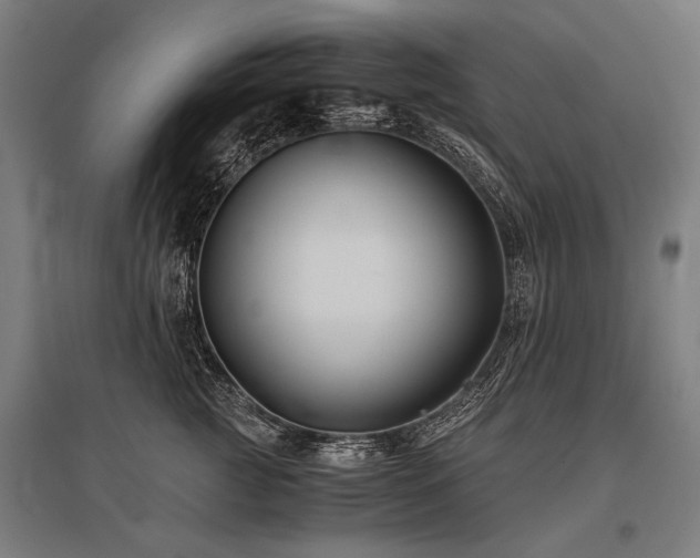 X0000096160761200801181224