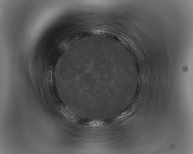 X0000096160762200801181224