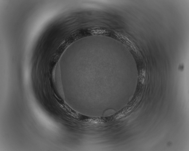X0000096160763200801181224