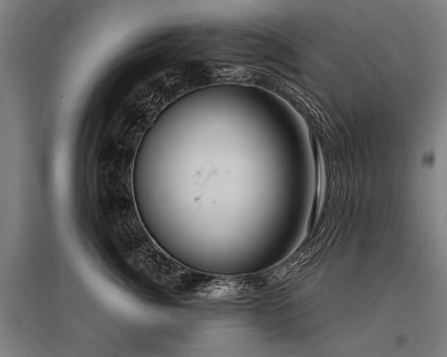 X0000096160764200801181224