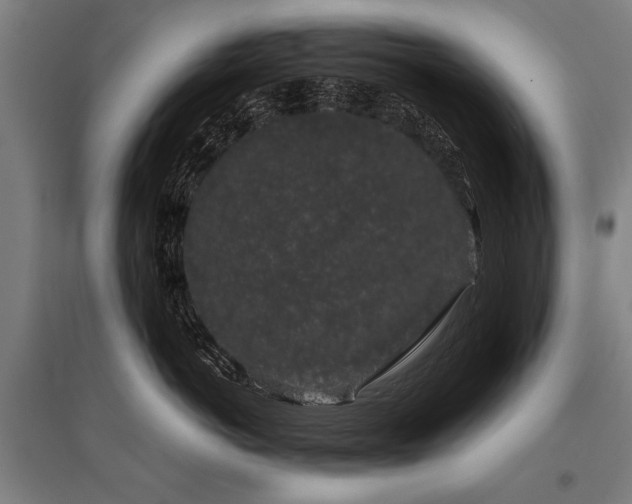 X0000096160766200801181224