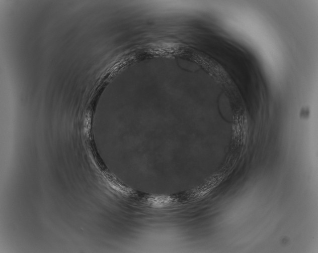 X0000096160767200801181224