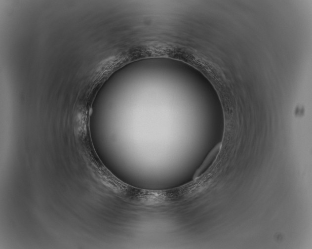 X0000096160768200801181224