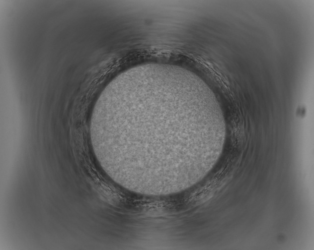 X0000096160769200801181224