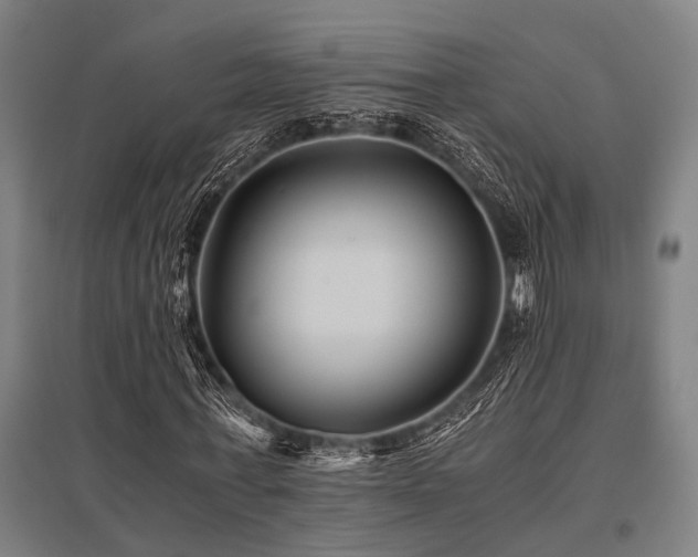 X0000096160771200801181224