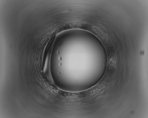 X0000096160772200801181224