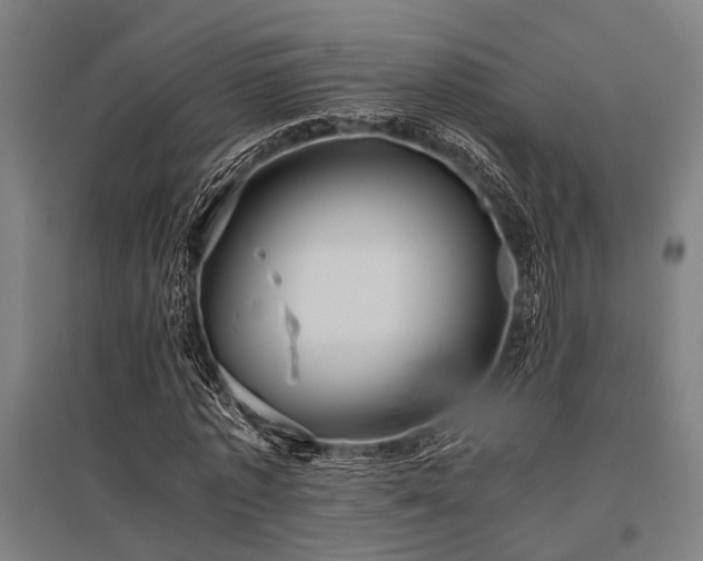 X0000096160773200801181224