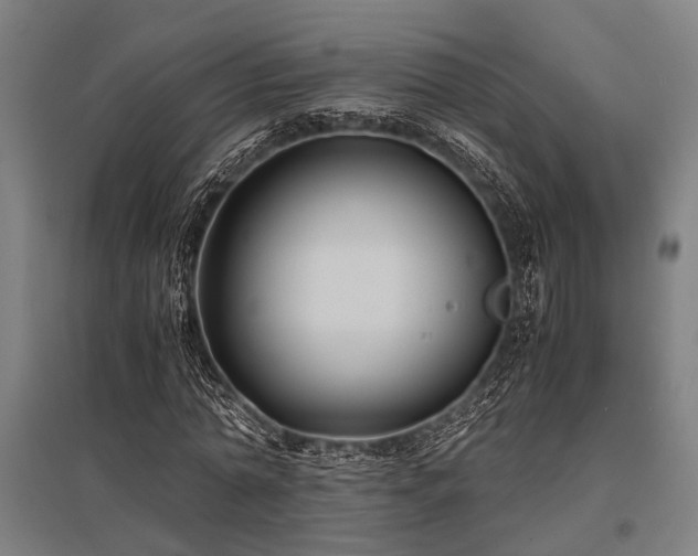 X0000096160774200801181224