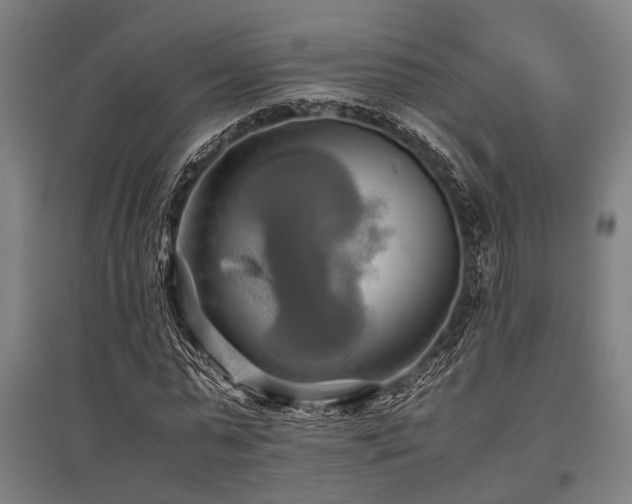 X0000096160775200801181224