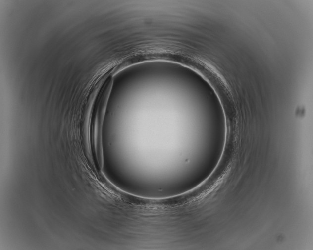 X0000096160777200801181224