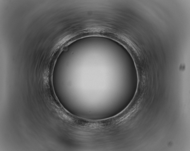 X0000096160778200801181224