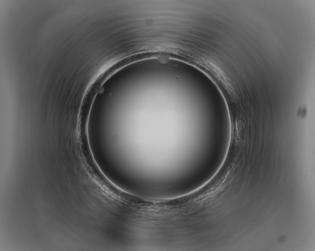 X0000096160780200801181224