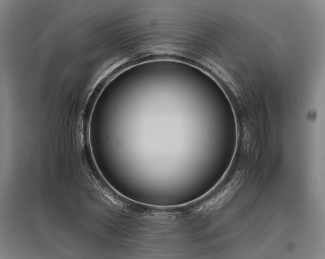 X0000096160782200801181224