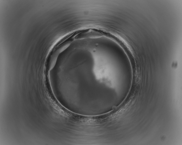 X0000096160783200801181224