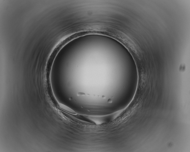 X0000096160784200801181224