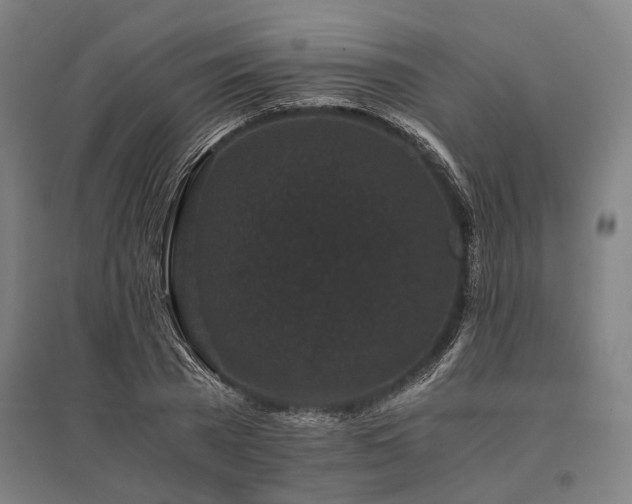 X0000096160785200801181224