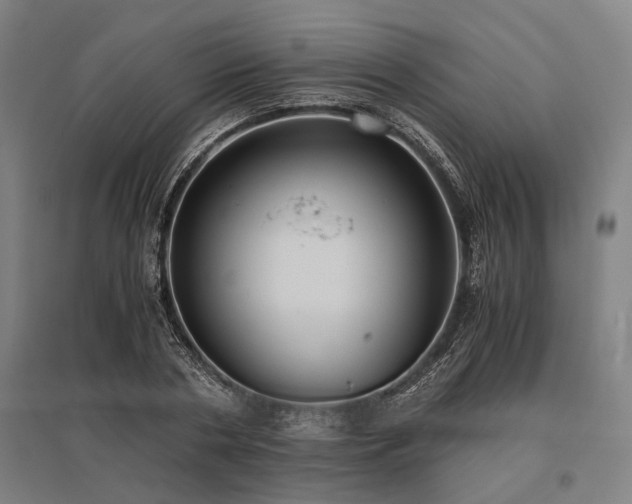 X0000096160786200801181224