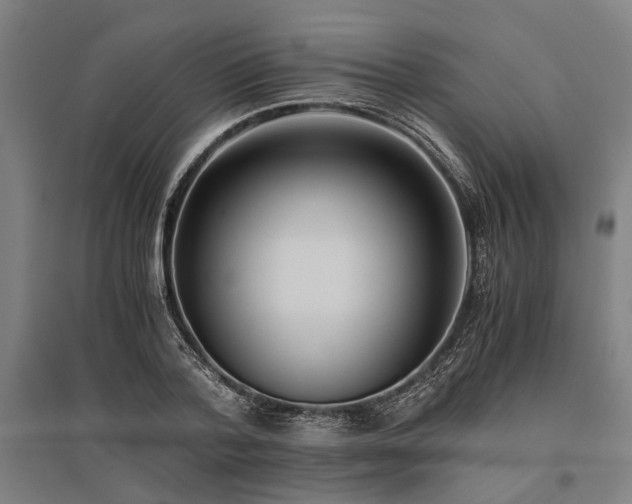 X0000096160788200801181224