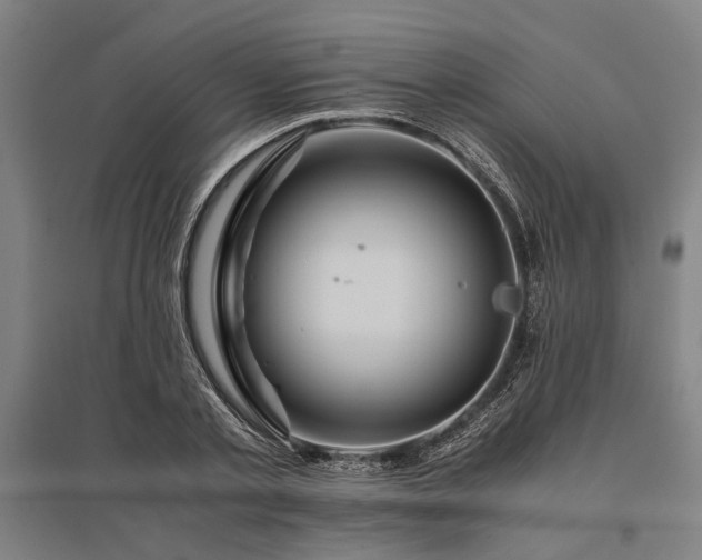 X0000096160789200801181224