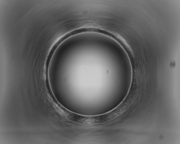 X0000096160791200801181224