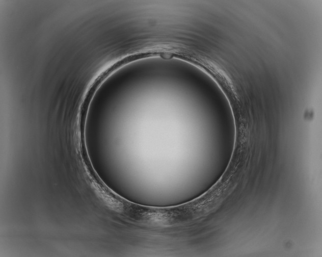 X0000096160792200801181223